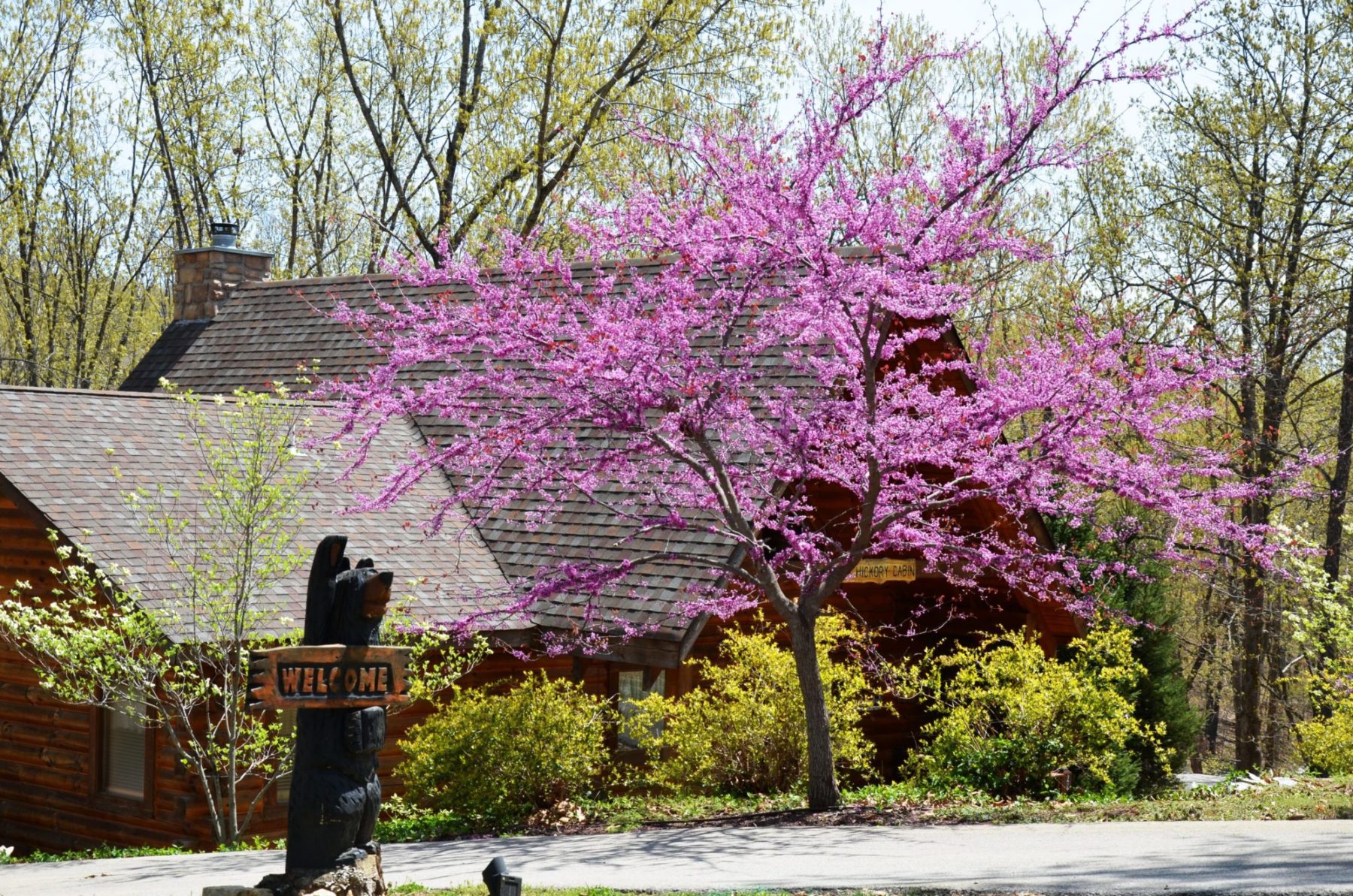 Spring in Branson Branson in April