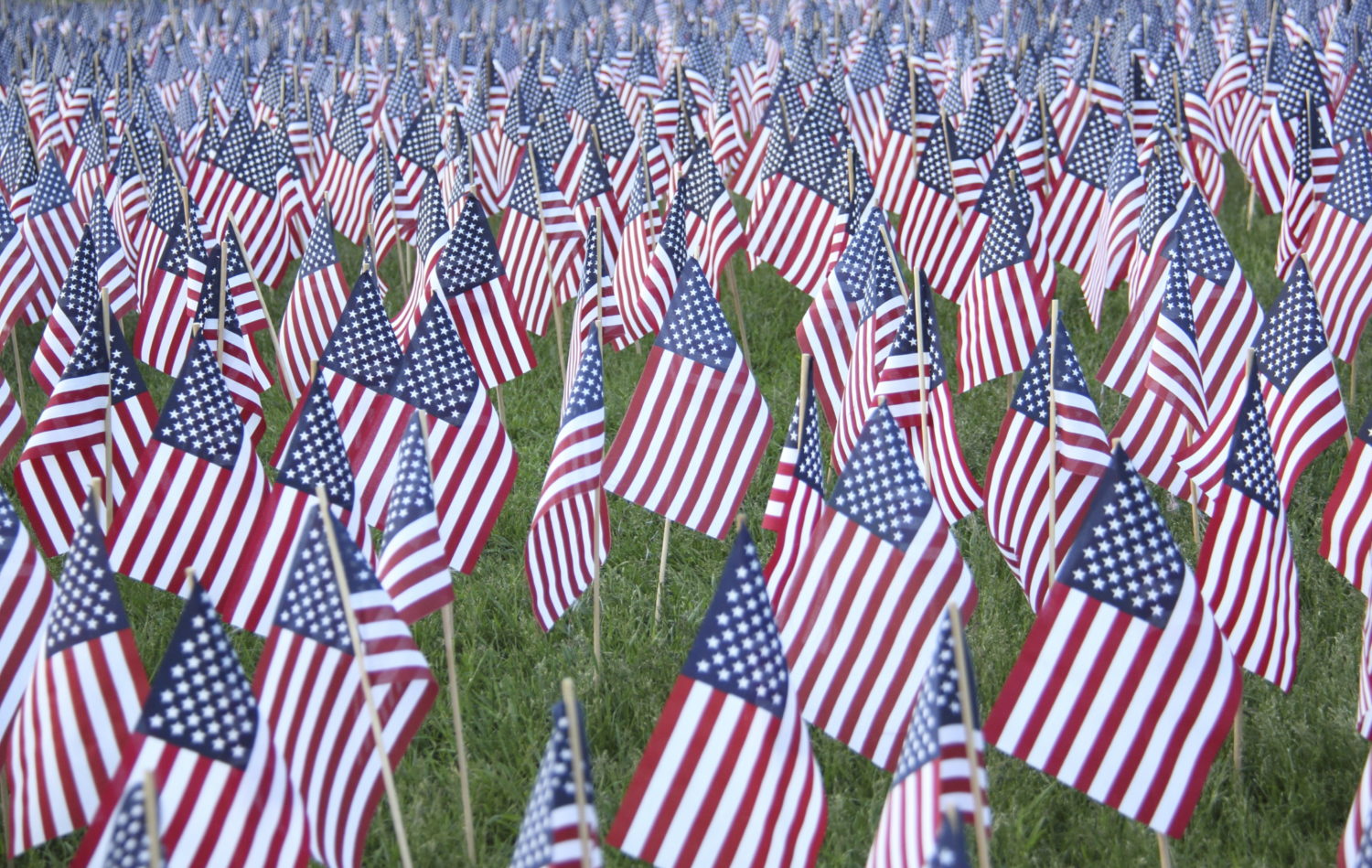 Veterans day 2024 free meals palm beach county