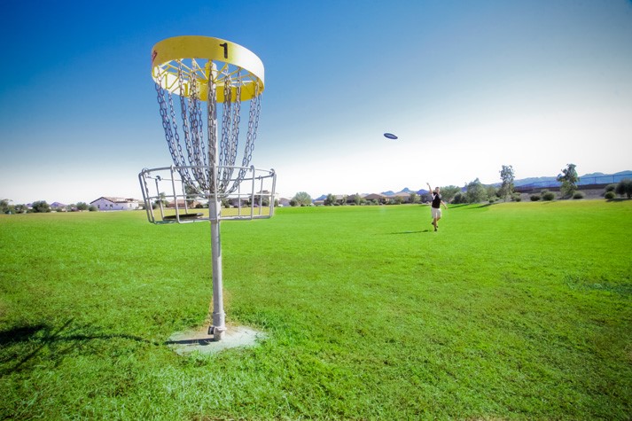 Test your Frisbee Golf Skills at Taneycomo Throwdown!