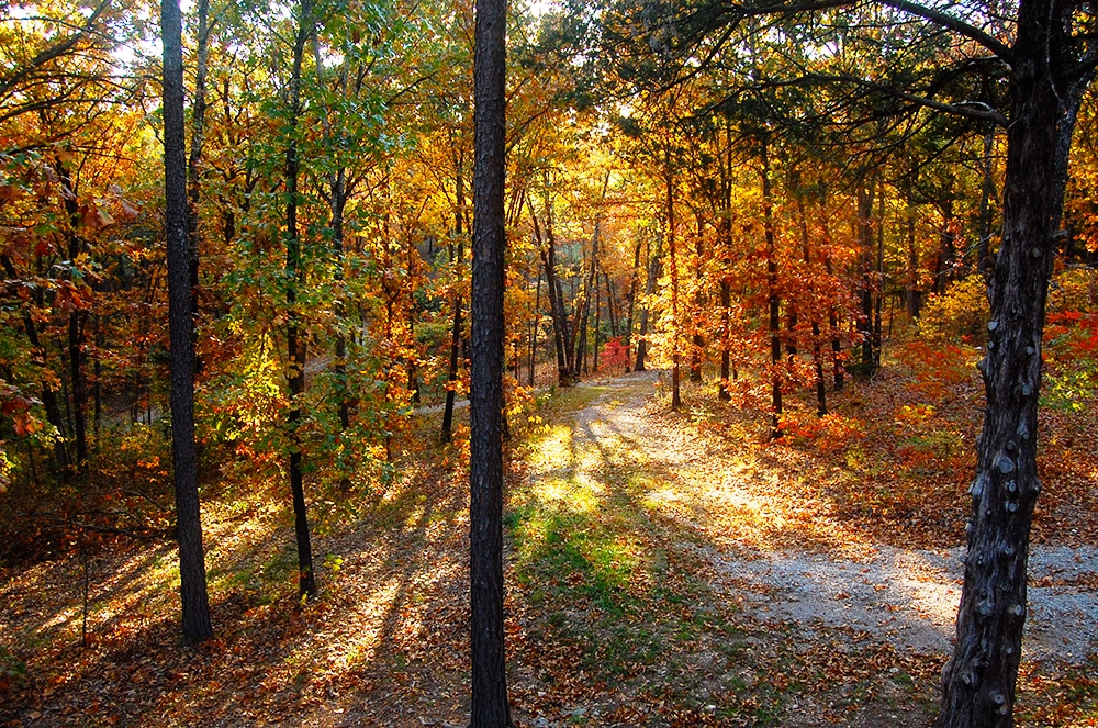 6 Reasons Why You Should Visit Branson in the Fall