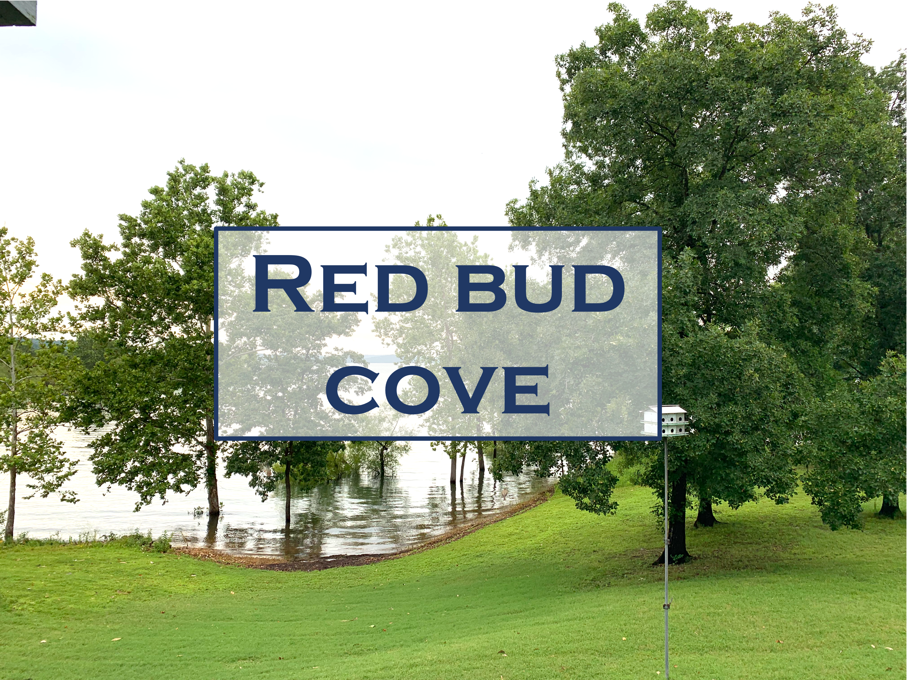All Red Bud Cove Homes