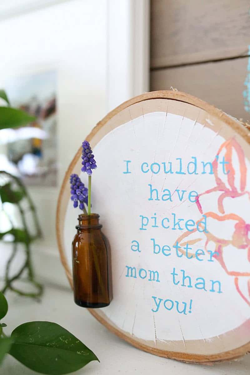 DIY Mother's Day Gifts She Will Rave About - Mod Podge Rocks