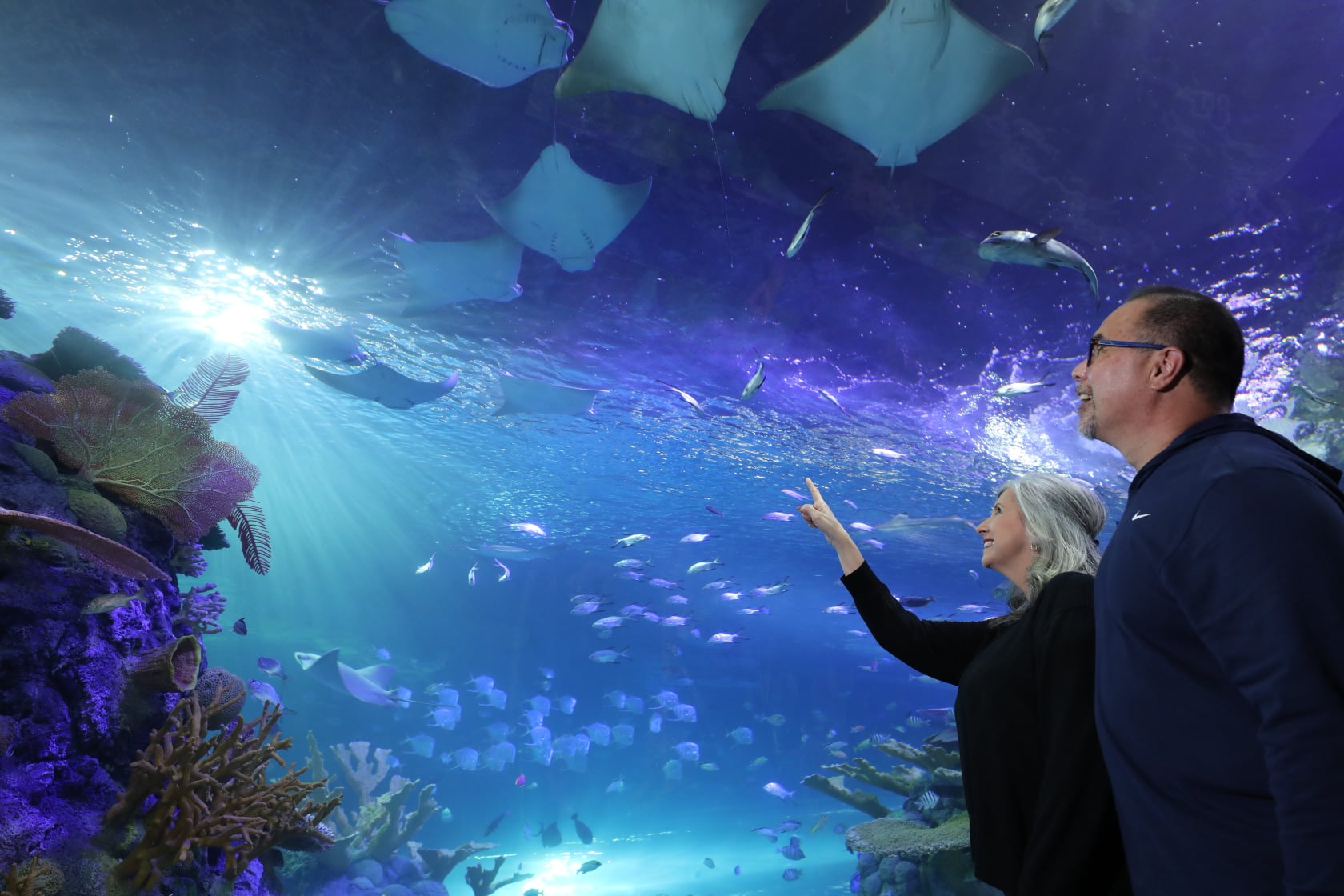 The New Branson Aquarium - Rent Branson