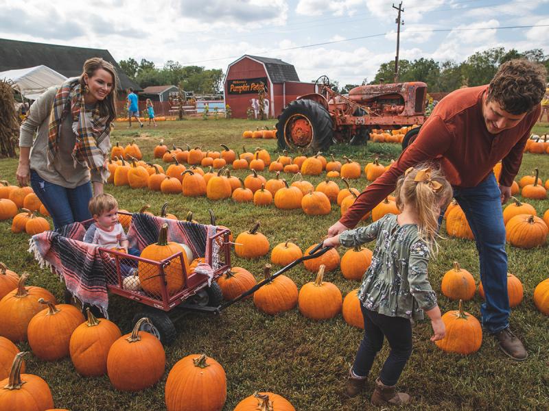 Fall festivals near shop me 2020