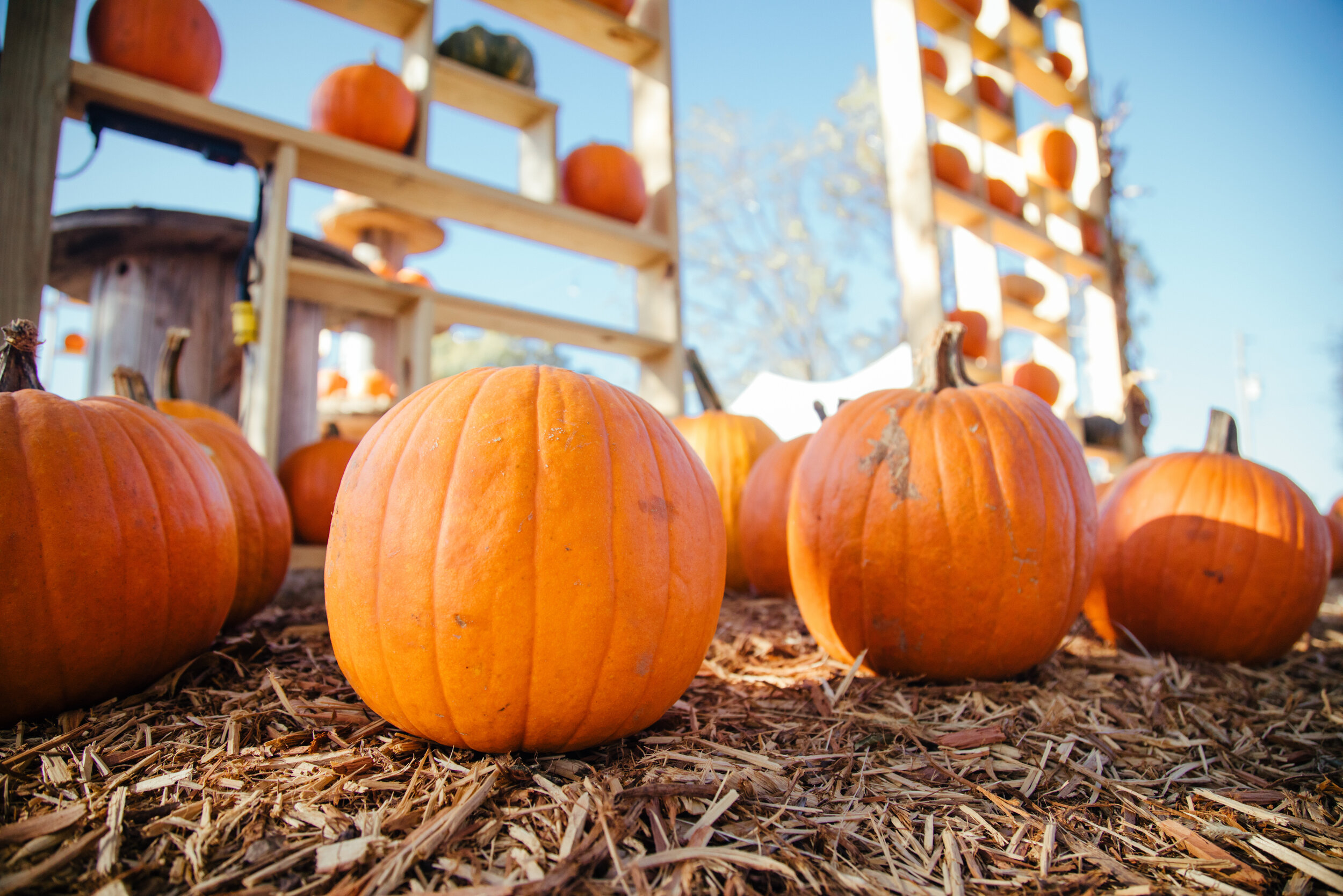 Fall Festivals in Branson